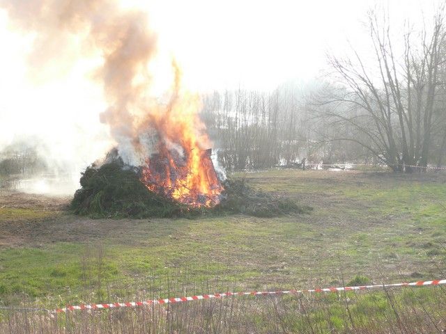 carnaval  24 mars 2013 (95).jpg